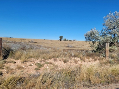 10 Acres For Sale with Mountain Views Near Stanley, New Mexico - image 6