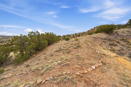 Off-Grid Yurt on 21.8 Acres Near Santa Fe, New Mexico - image 31