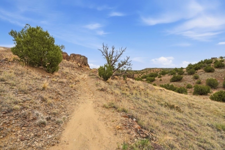 Off-Grid Yurt on 21.8 Acres Near Santa Fe, New Mexico - image 33