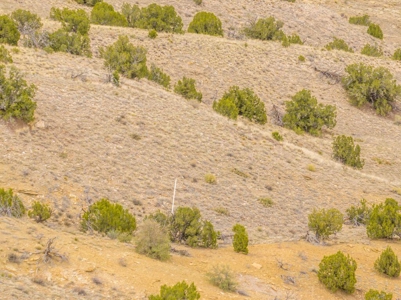 Off-Grid Yurt on 21.8 Acres Near Santa Fe, New Mexico - image 40