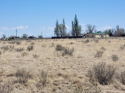 4.9 Acres with No Restrictions in McIntosh, New Mexico - image 2
