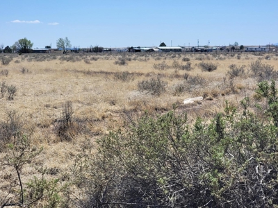 4.9 Acres with No Restrictions in McIntosh, New Mexico - image 1