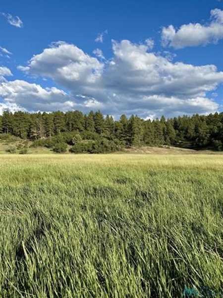 No Caption