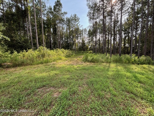 35 Acres for Sale in Pelahatchie, MS | Rankin County