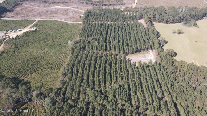 35 Acres for Sale in Pelahatchie, MS | Rankin County