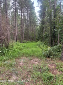 Listing 134