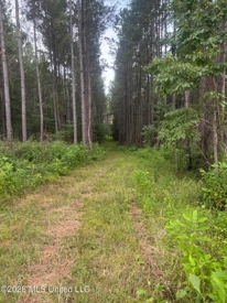 Listing 134