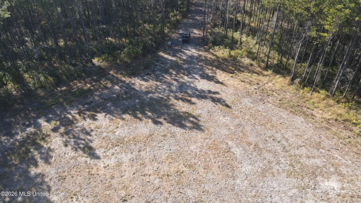 35 Acres for Sale in Pelahatchie, MS | Rankin County
