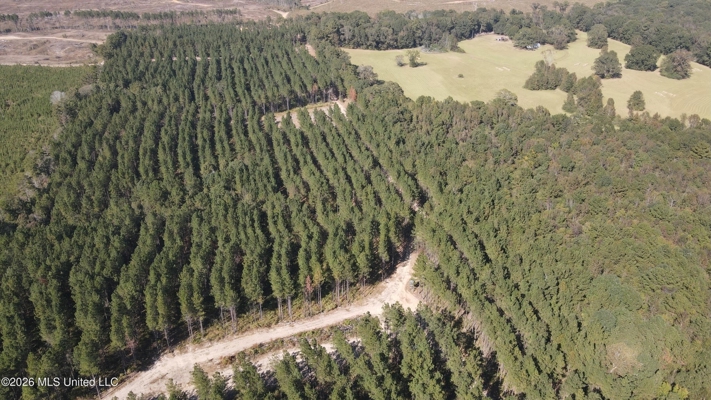 35 Acres for Sale in Pelahatchie, MS | Rankin County
