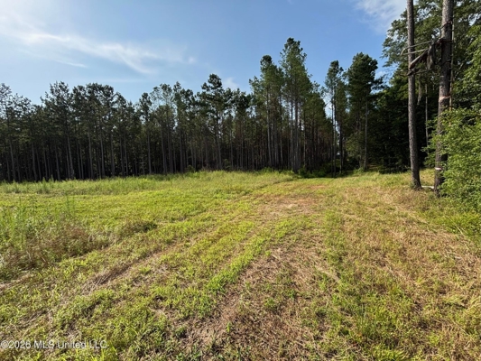 35 Acres for Sale in Pelahatchie, MS | Rankin County