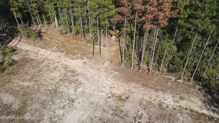 35 Acres for Sale in Pelahatchie, MS | Rankin County