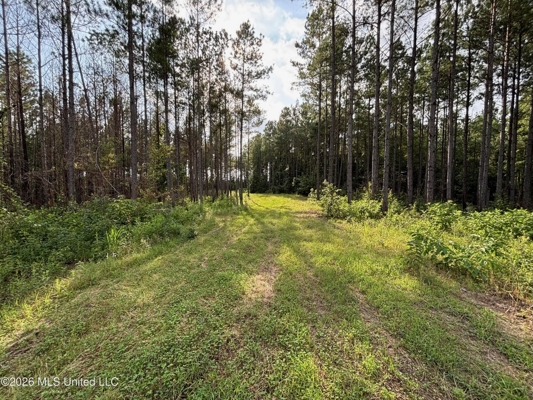 35 Acres for Sale in Pelahatchie, MS | Rankin County