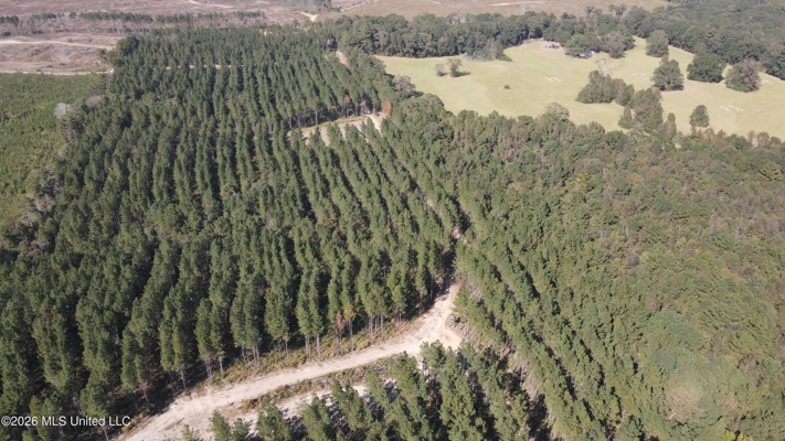 35 Acres for Sale in Pelahatchie, MS | Rankin County