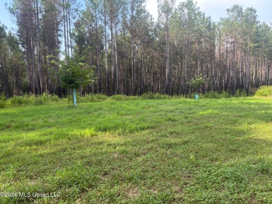 35 Acres for Sale in Pelahatchie, MS | Rankin County