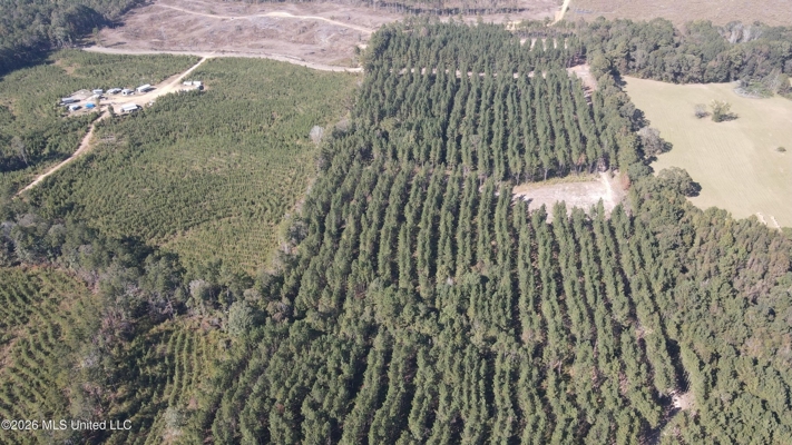 35 Acres for Sale in Pelahatchie, MS | Rankin County