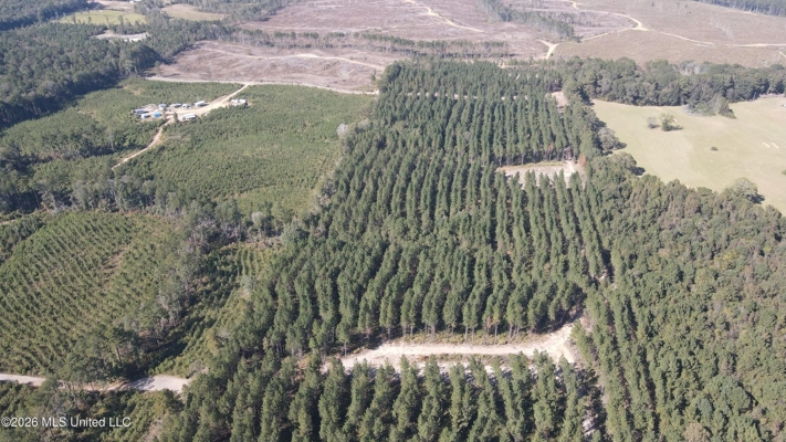 35 Acres for Sale in Pelahatchie, MS | Rankin County