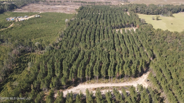 35 Acres for Sale in Pelahatchie, MS | Rankin County