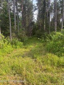 Listing 134
