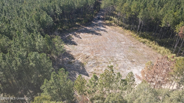 35 Acres for Sale in Pelahatchie, MS | Rankin County