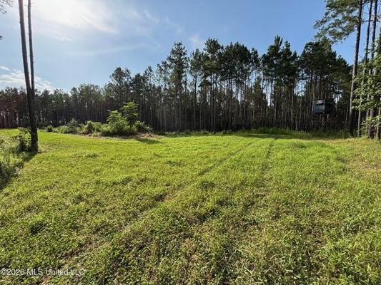 35 Acres for Sale in Pelahatchie, MS | Rankin County