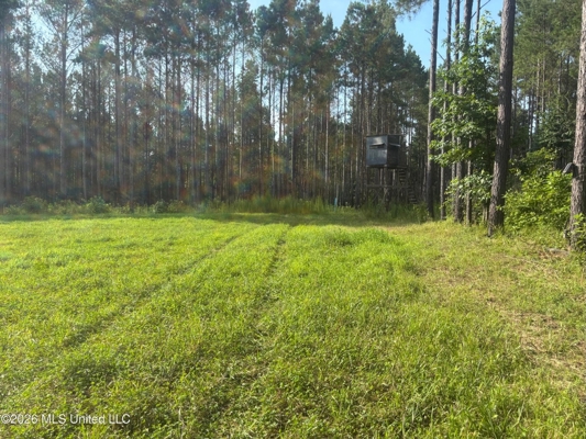35 Acres for Sale in Pelahatchie, MS | Rankin County