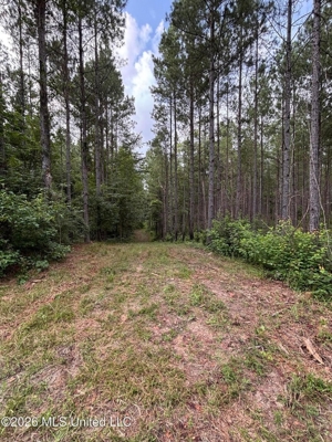 35 Acres for Sale in Pelahatchie, MS | Rankin County