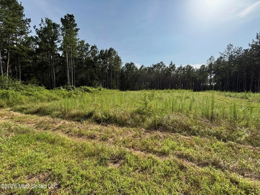 35 Acres for Sale in Pelahatchie, MS | Rankin County