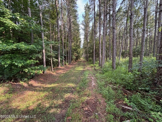 35 Acres for Sale in Pelahatchie, MS | Rankin County
