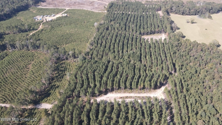 35 Acres for Sale in Pelahatchie, MS | Rankin County