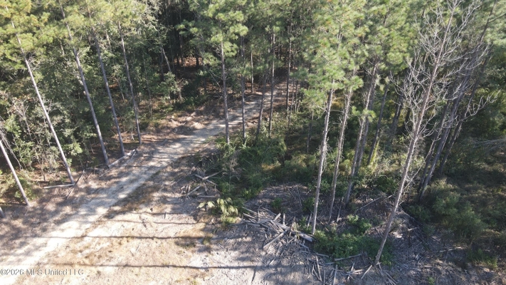 35 Acres for Sale in Pelahatchie, MS | Rankin County