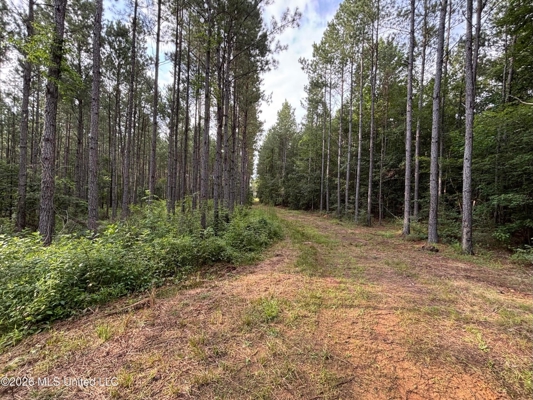 35 Acres for Sale in Pelahatchie, MS | Rankin County