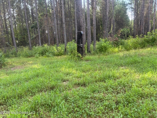 35 Acres for Sale in Pelahatchie, MS | Rankin County