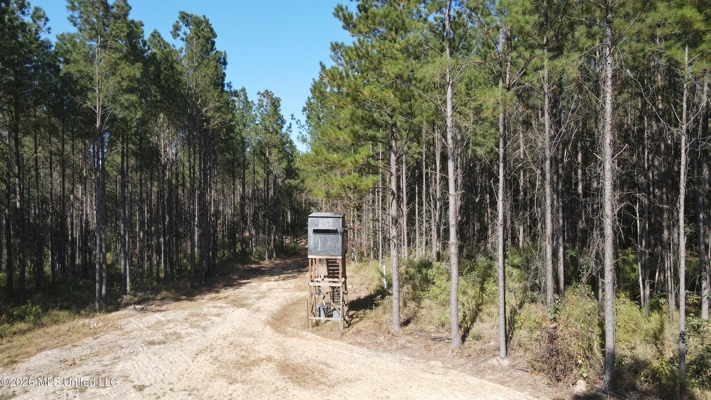 35 Acres for Sale in Pelahatchie, MS | Rankin County