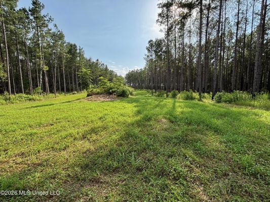 35 Acres for Sale in Pelahatchie, MS | Rankin County
