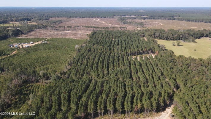 35 Acres for Sale in Pelahatchie, MS | Rankin County