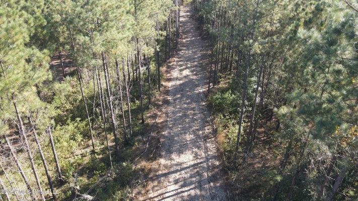 35 Acres for Sale in Pelahatchie, MS | Rankin County