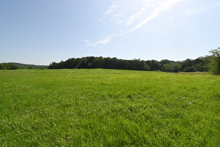 Tennessee Farm Land For Sale on 109.64 Surveyed Acres. - image 31