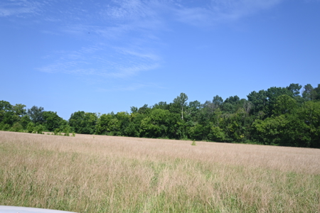 Tennessee Farm Land For Sale on 109.64 Surveyed Acres. - image 24
