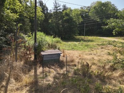 Tennessee Farm Land For Sale on 109.64 Surveyed Acres. - image 15