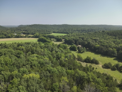 Tennessee Farm Land For Sale on 109.64 Surveyed Acres. - image 10