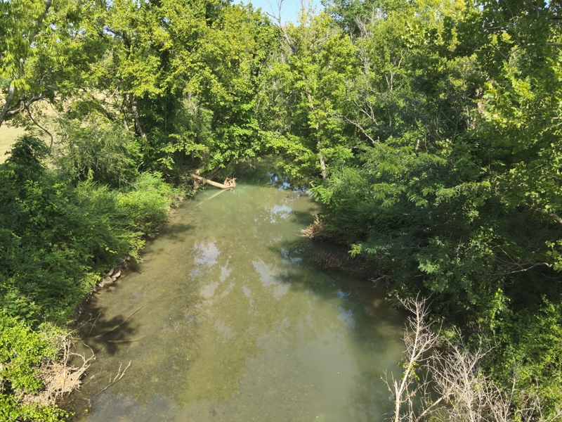 No Caption