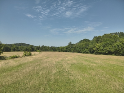 Tennessee Farm Land For Sale on 109.64 Surveyed Acres. - image 6