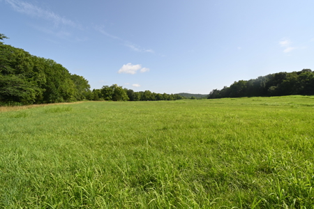 Tennessee Farm Land For Sale on 109.64 Surveyed Acres. - image 30