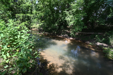 Tennessee Farm Land For Sale on 109.64 Surveyed Acres. - image 32