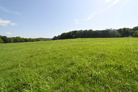 Tennessee Farm Land For Sale on 109.64 Surveyed Acres. - image 29