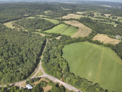 Tennessee Farm Land For Sale on 109.64 Surveyed Acres. - image 17
