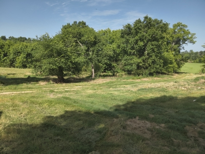 Tennessee Farm Land For Sale on 109.64 Surveyed Acres. - image 16