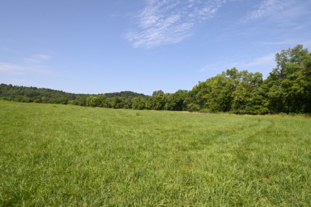 Tennessee Farm Land For Sale on 109.64 Surveyed Acres. - image 26
