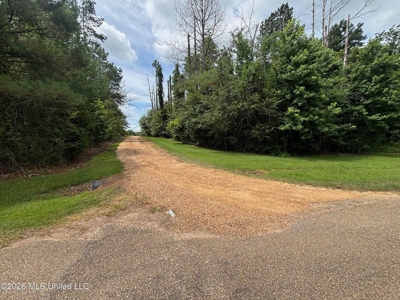 22 Acres for Sale in Clinton, MS | Development Land - image 2