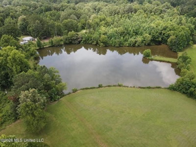 22 Acres for Sale in Clinton, MS | Development Land - image 6